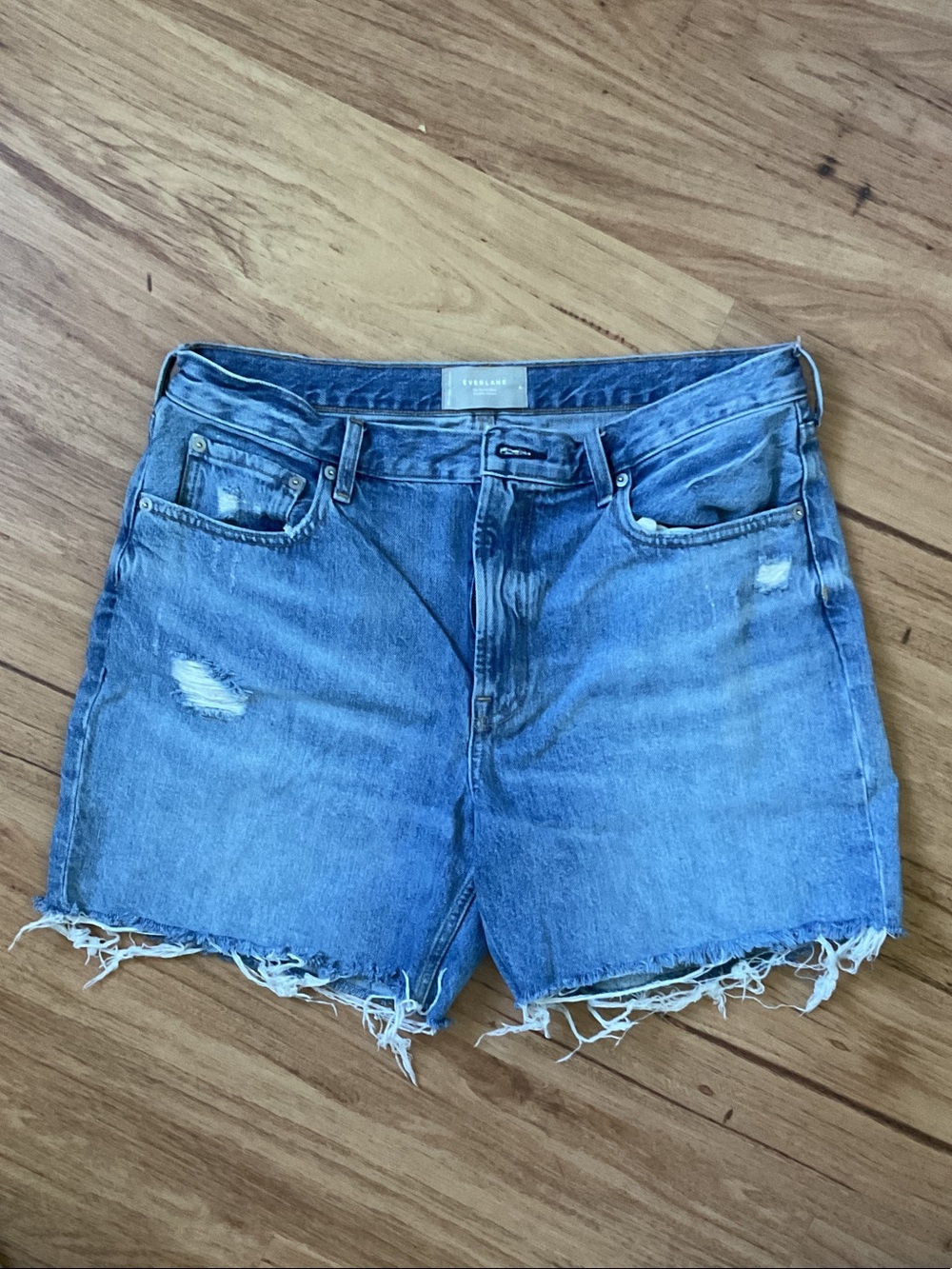 Everlane Light Blue Distressed Denim Cutoff Shorts